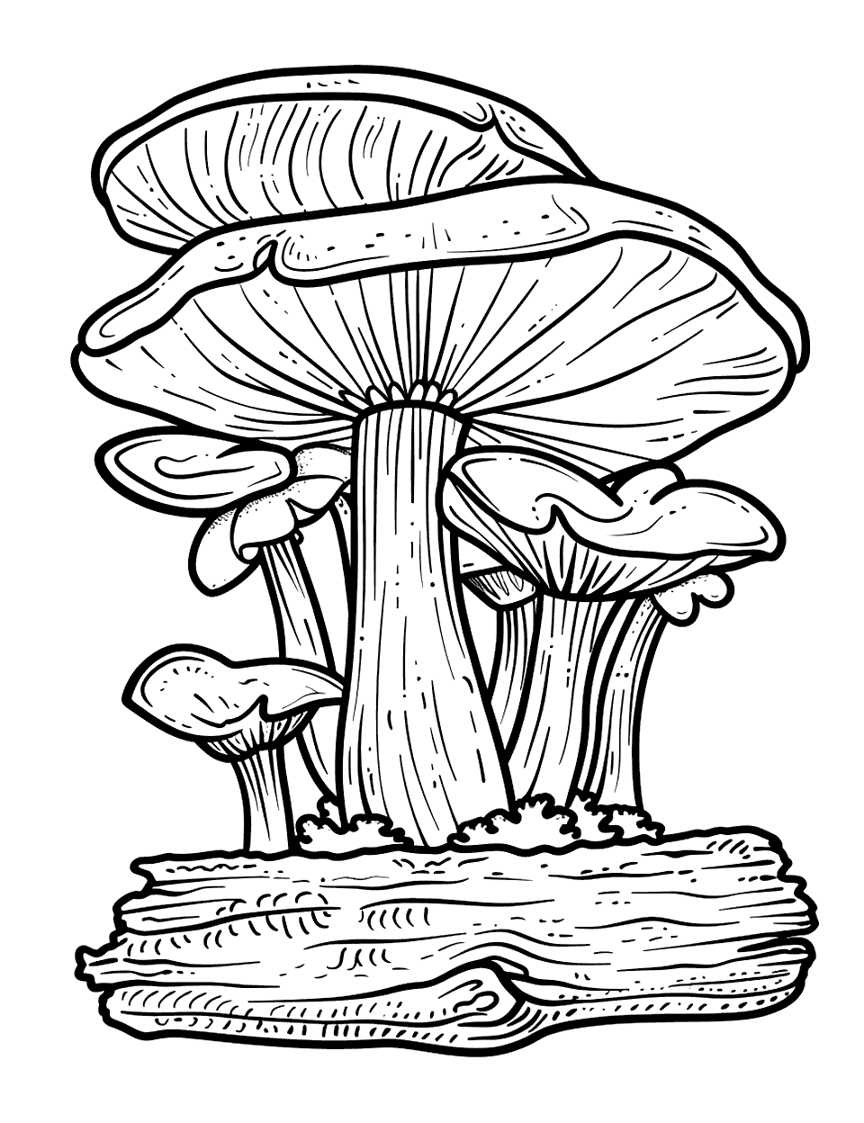 Oyster Mushroom Cluster Coloring Page - A realistic depiction of oyster mushrooms growing together on a log.