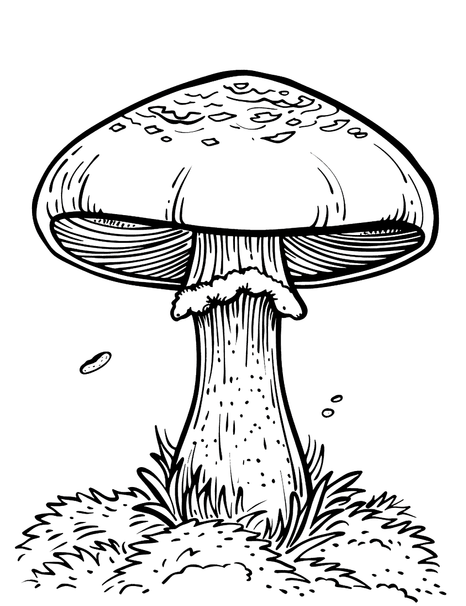 Shiitake Mushroom in the Wild Coloring Page - A single shiitake mushroom with detailed gills, standing alone on the forest floor.