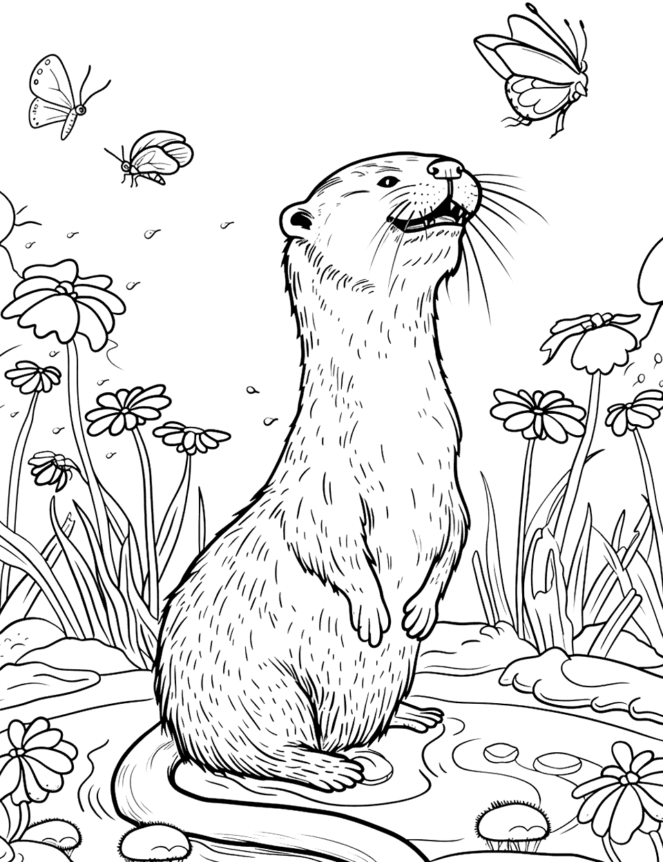 Otter Chasing Butterflies Coloring Page - An otter in a meadow, standing and looking curiously at a fluttering butterflies.