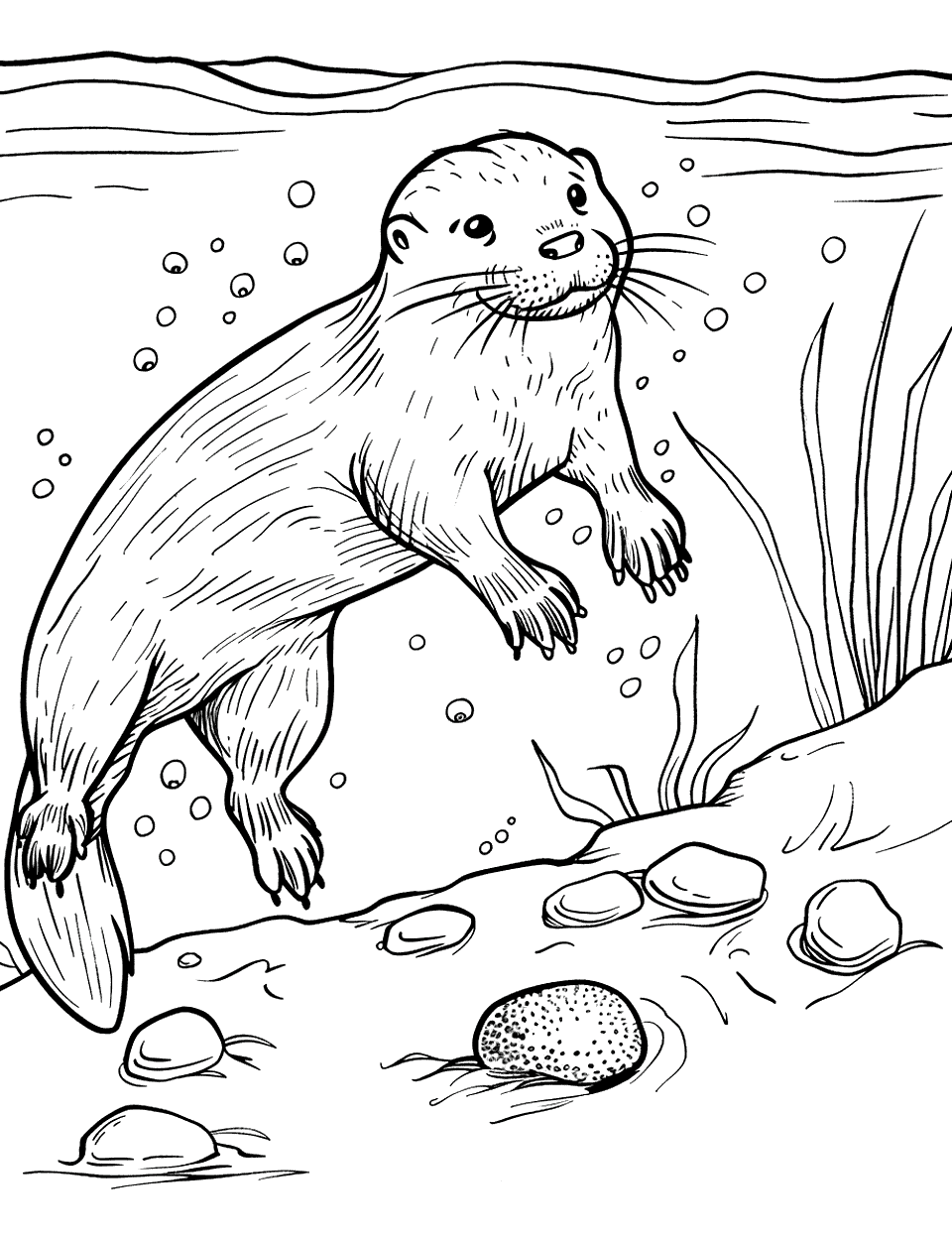 Otter Diving for Pebbles Coloring Page - An otter underwater, reaching for pebbles on the riverbed.