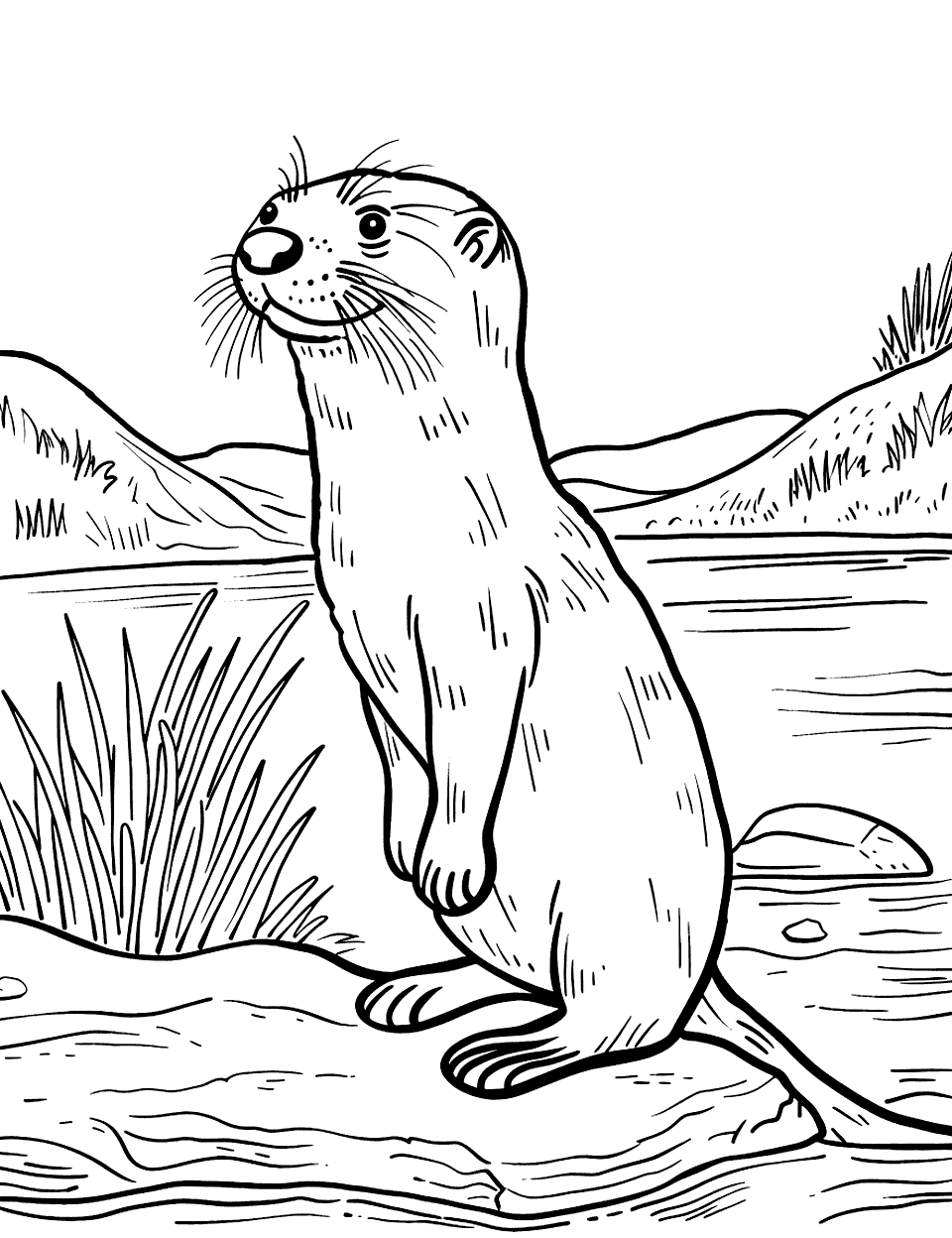 Otter at the River Bank Coloring Page - A river otter standing on the edge of a river.