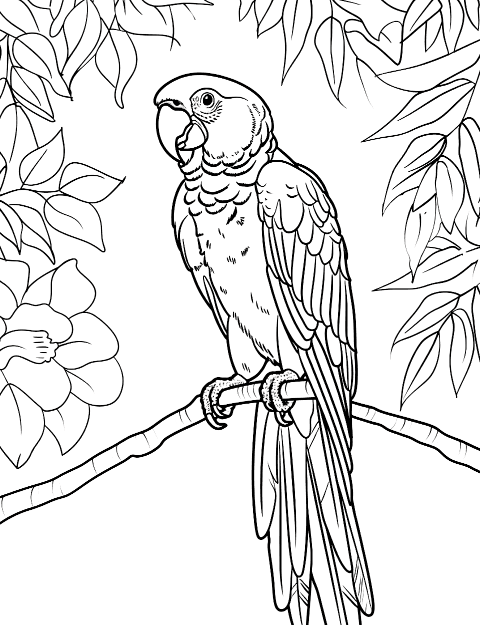 Parrot in a Tropical Forest Coloring Page - A vivid macaw perched on a lush branch surrounded by simple foliage.