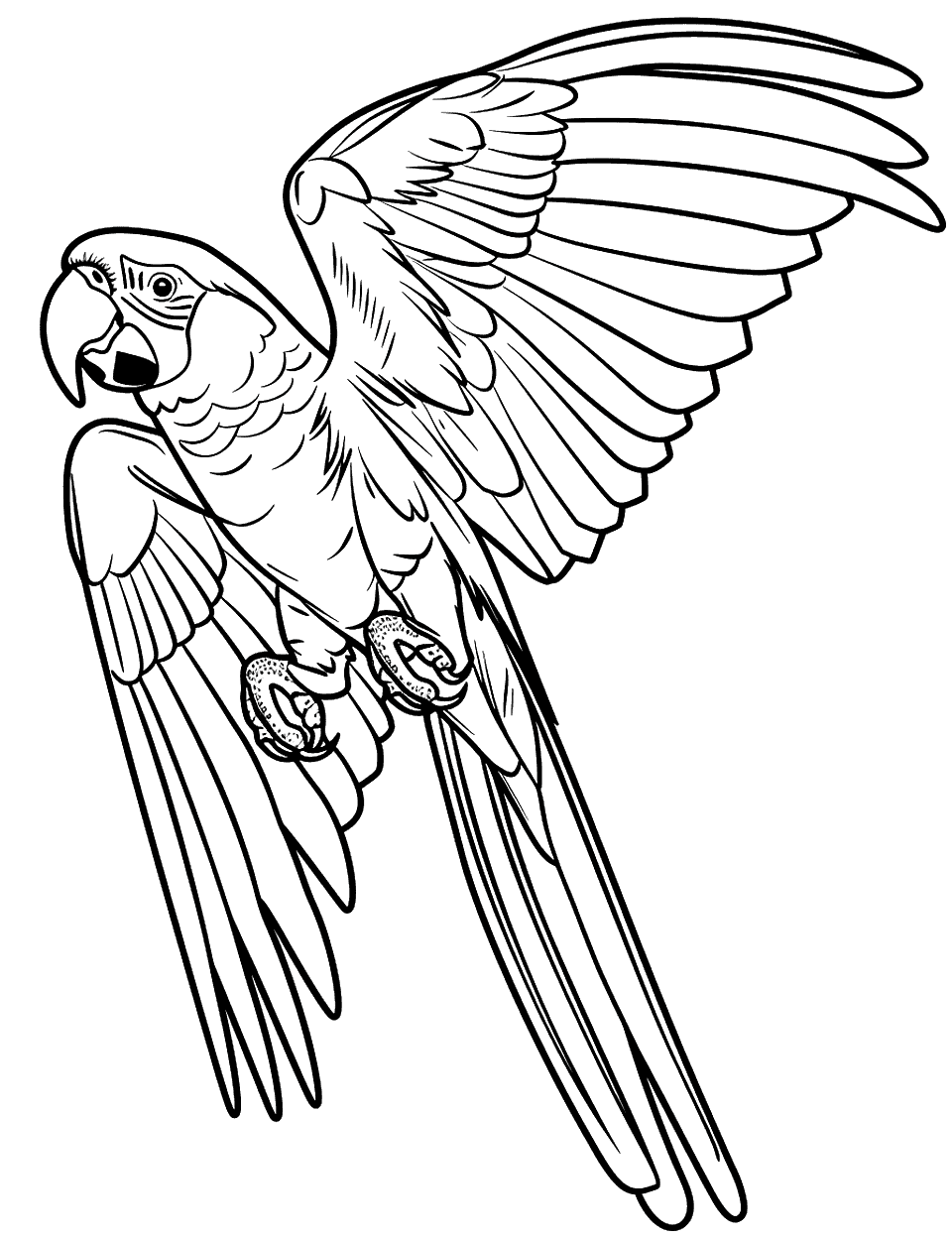Macaw Parrot in Flight Coloring Page - A dynamic scene of a macaw parrot soaring high with wings fully spread.