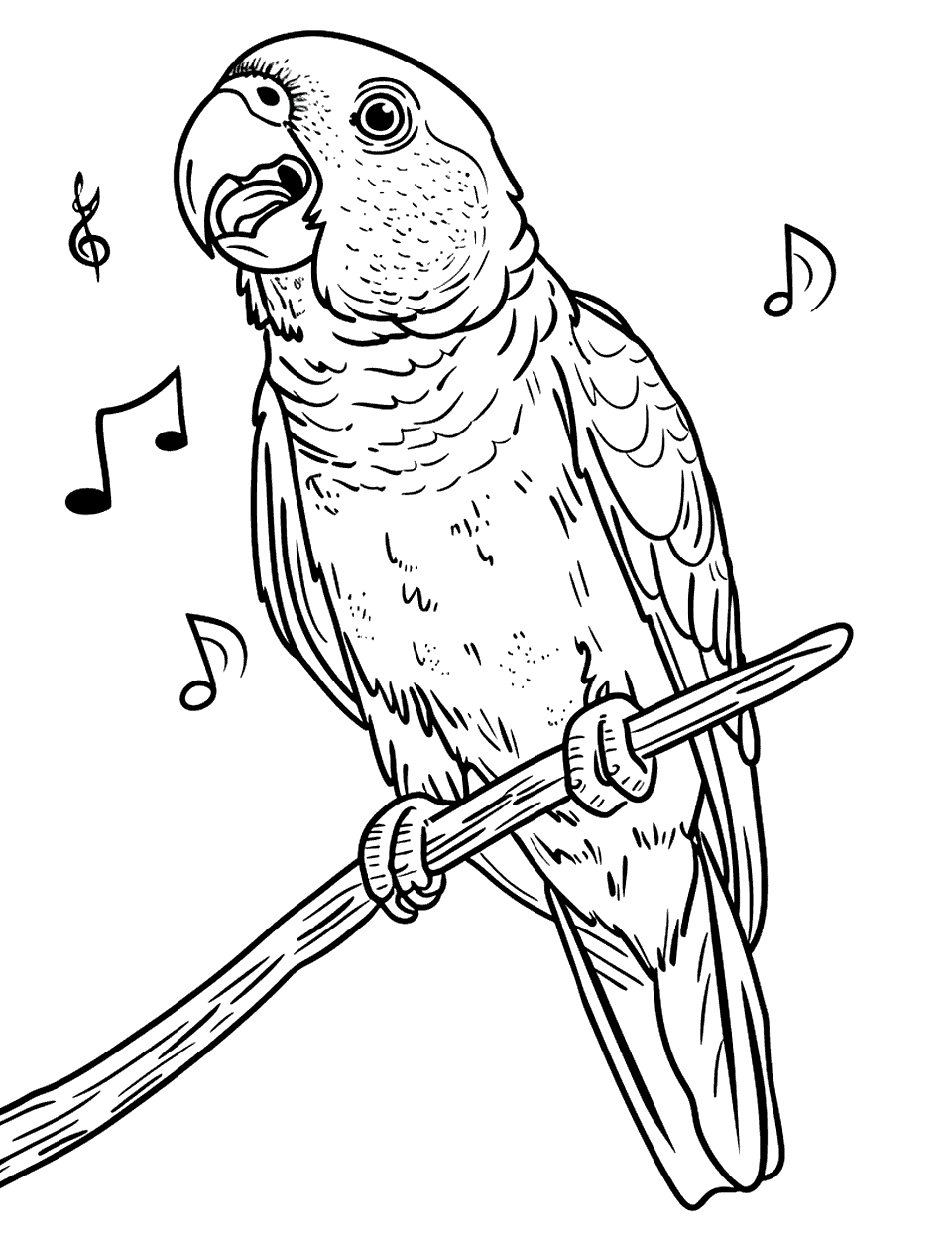 Chatty African Grey Parrot Coloring Page - An African grey talking, with a few musical notes floating around to suggest its voice.