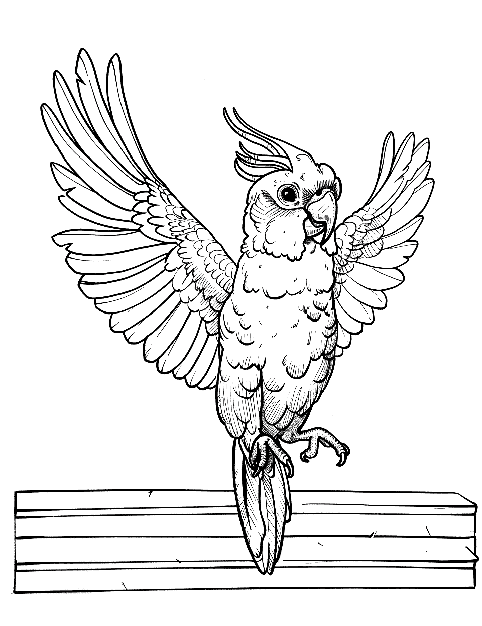 Cockatoo Dancing Parrot Coloring Page - A playful cockatoo dancing on a plain wooden floor with its wings spread.