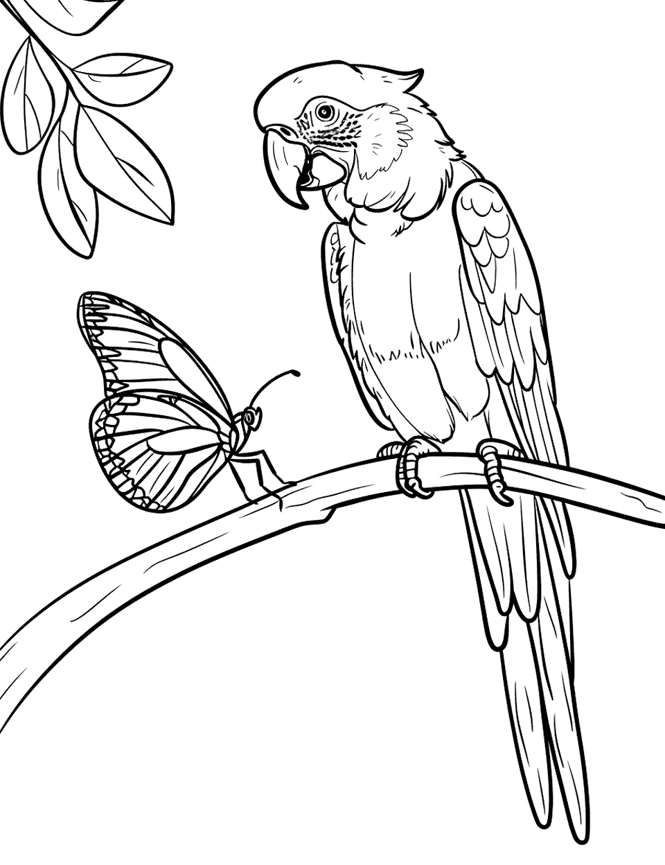 Macaw Making Friends with a Butterfly Parrot Coloring Page - A macaw looking towards a butterfly nearby.