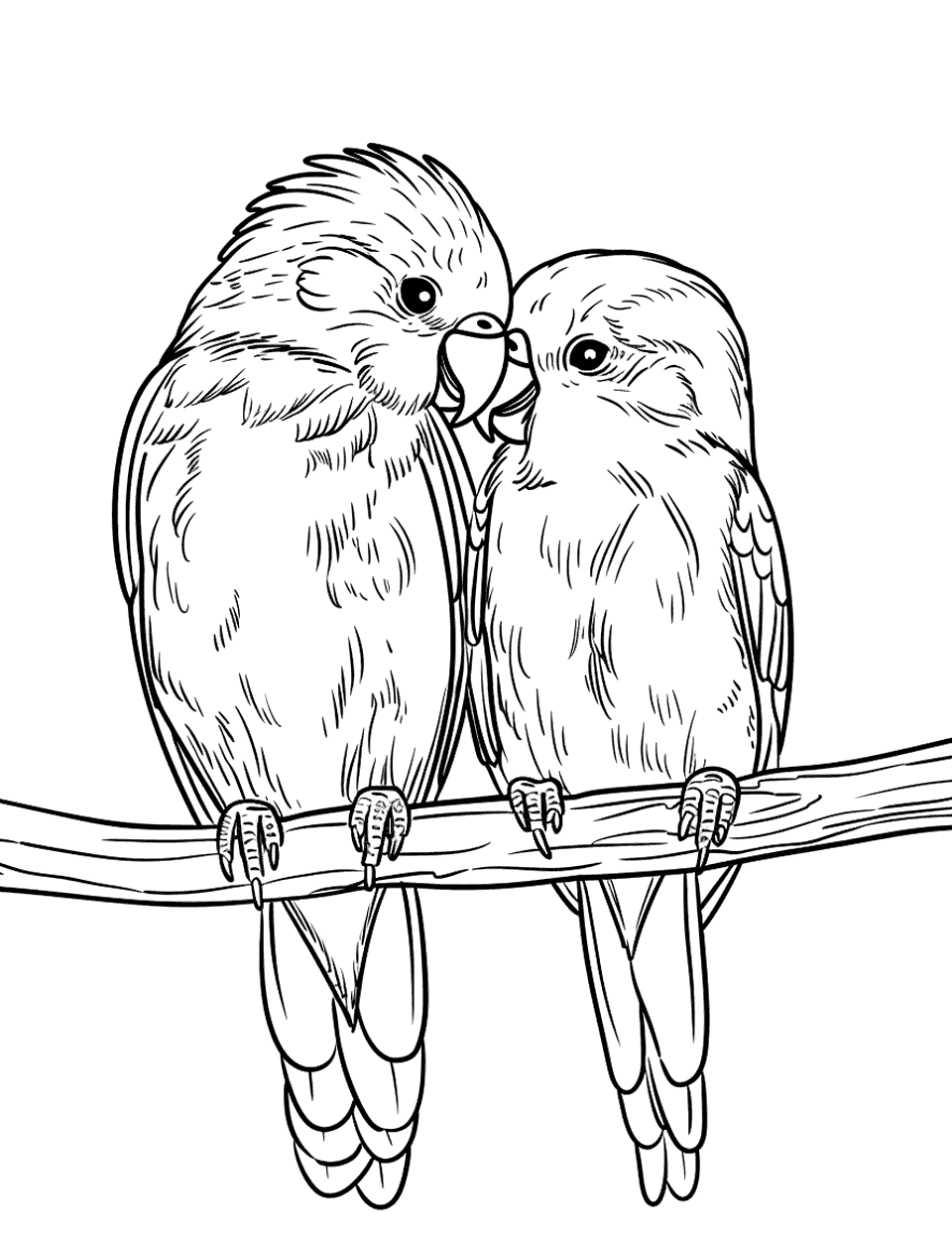 Love Birds Whispering Parrot Coloring Page - Two love birds sitting close, their beaks nearly touching, as if whispering secrets.