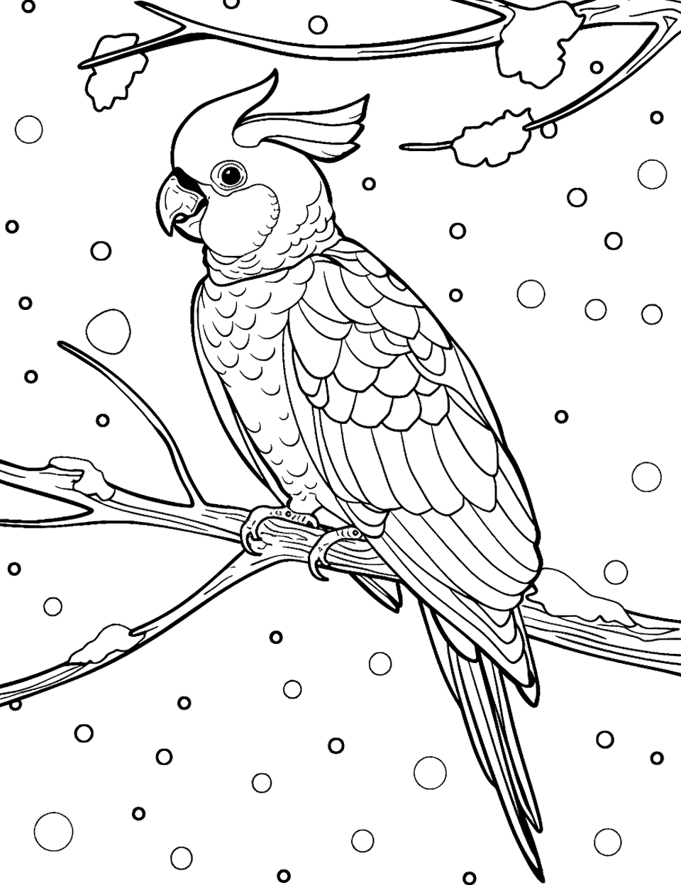 Cockatoo in the Snow Parrot Coloring Page - A cockatoo observing its surroundings, with gentle snow falling around it.