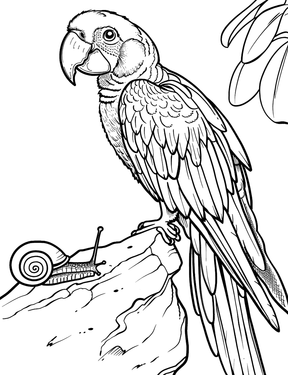 Macaw Observing a Snail Parrot Coloring Page - A macaw curiously watching a small snail crawl.