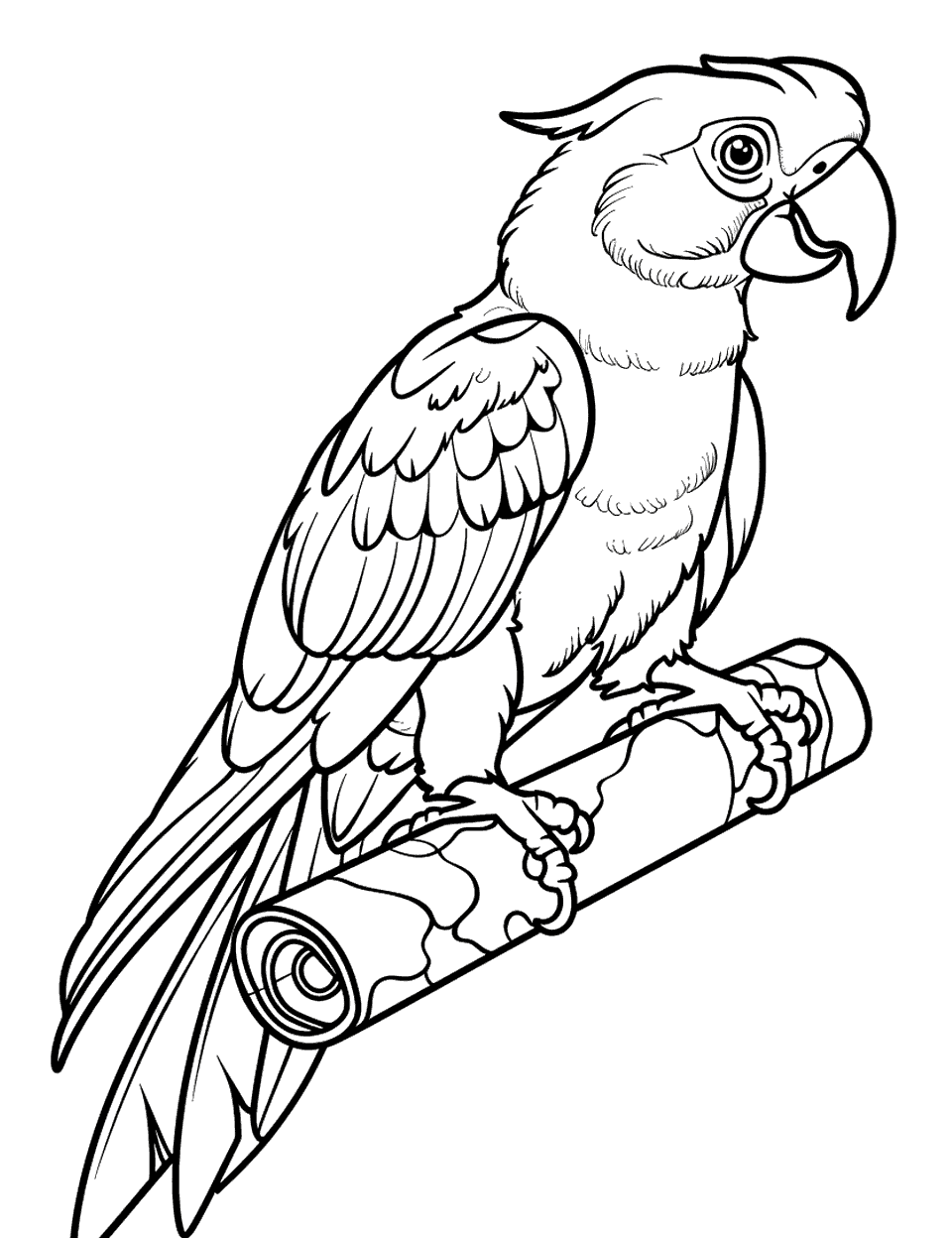Parrot and a Simple Treasure Map Coloring Page - A parrot with a rolled-up map, hinting at an adventure.