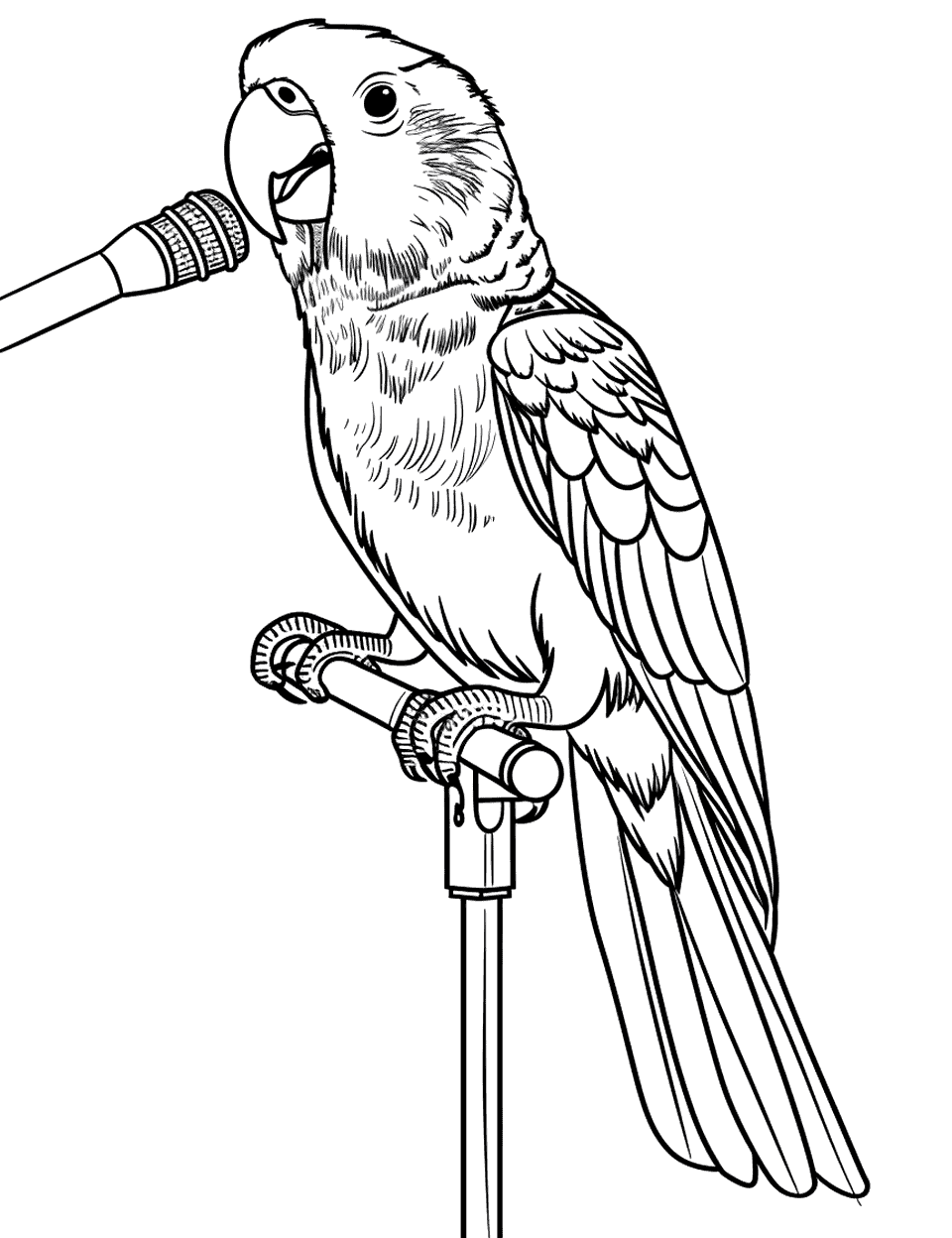 Parrot Singing into a Microphone Coloring Page - A parrot playfully singing into a microphone stand.