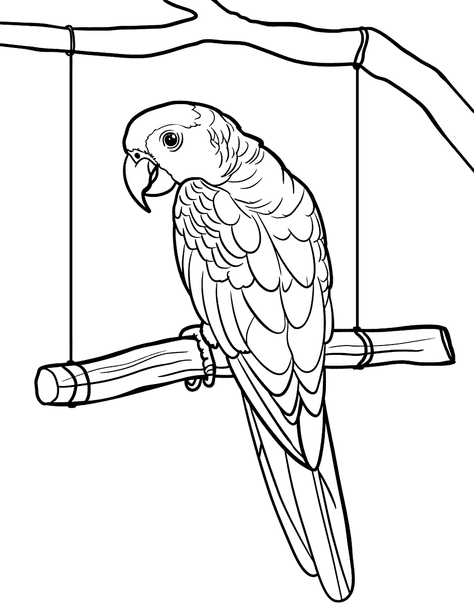African Grey on a Swing Parrot Coloring Page - An African grey parrot sitting on a wooden swing attached to a simple tree branch.