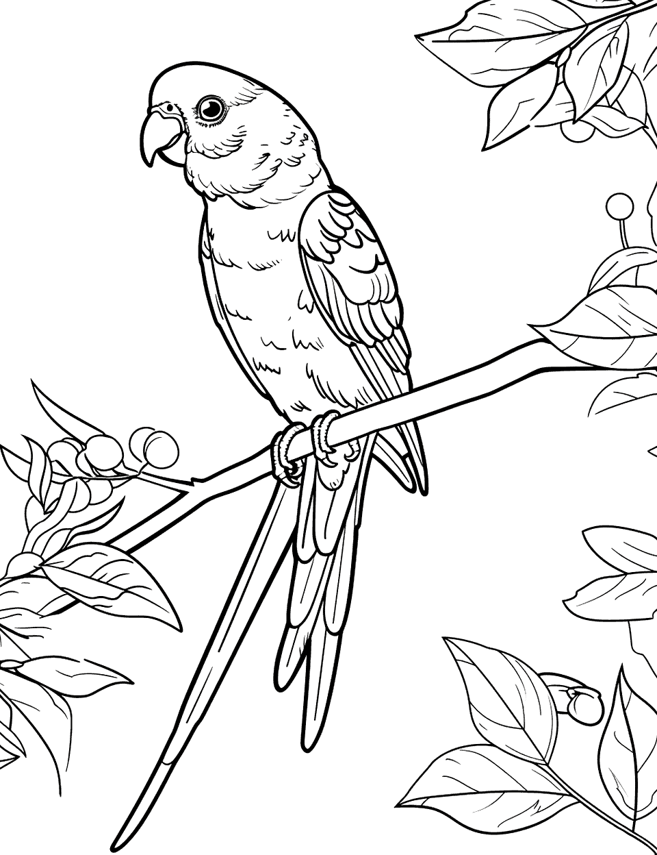 Parakeet Paradise Parrot Coloring Page - A cheerful parakeet chirping on a thin branch, with a few leaves around.