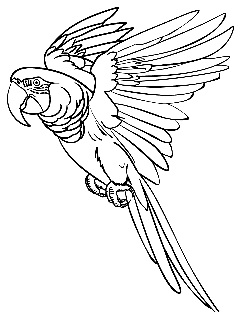Flying Macaw Over the Amazon Parrot Coloring Page - A majestic macaw flying high.