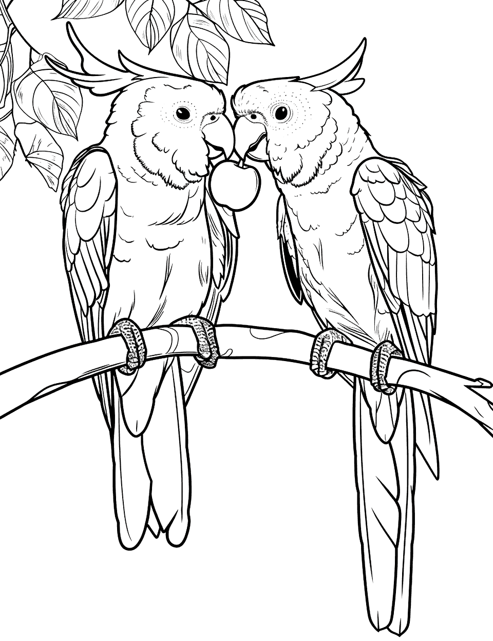 Parrots Sharing a Meal Parrot Coloring Page - Two parrots sharing a fruit on a tree, with minimal background details.