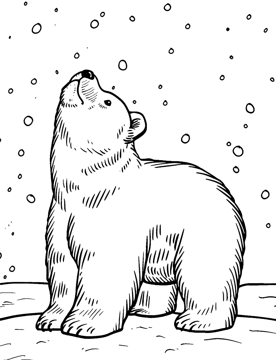 Young Polar Bear in Snow Coloring Page - A young polar bear curiously looking at falling snowflakes.