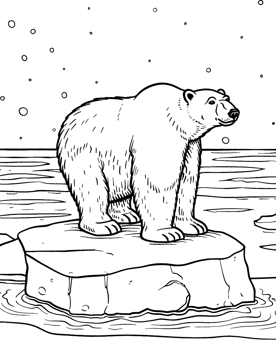 Polar Bear on Ice Floe Coloring Page - A polar bear on a large piece of floating ice.