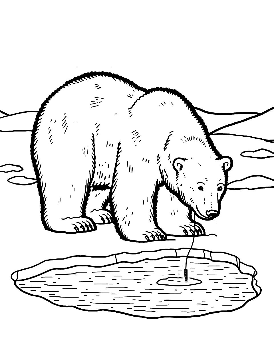Winter Fishing Polar Bear Coloring Page - A polar bear is standing by a fishing hole in the ice looking for fish.