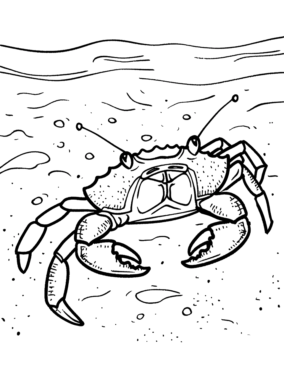 Crab Scurrying Along the Shore Sea Creature Coloring Page - A small crab moves sideways along the sandy shore.