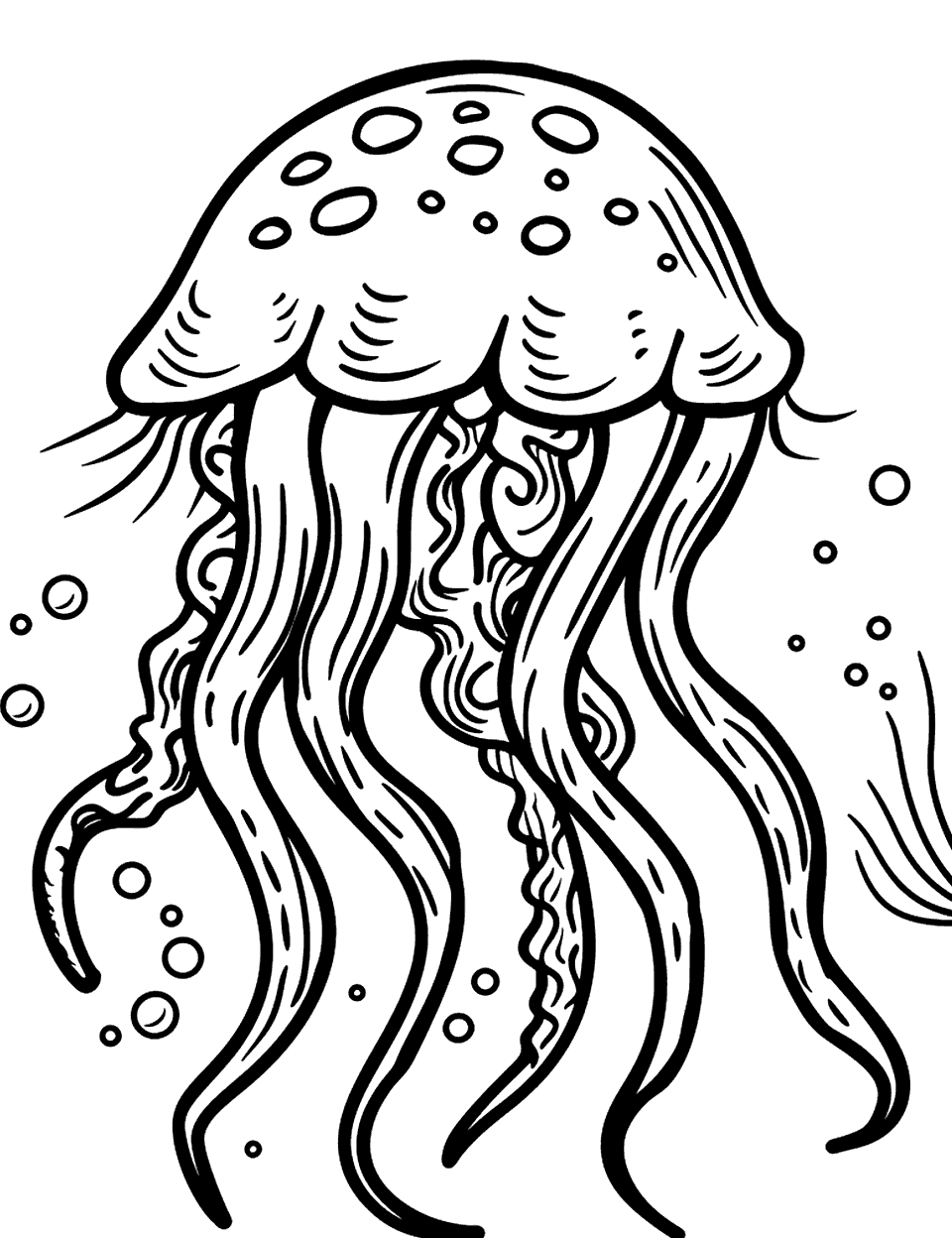 Jellyfish Floating Serenely Sea Creature Coloring Page - A jellyfish drifts calmly with its tentacles trailing behind.