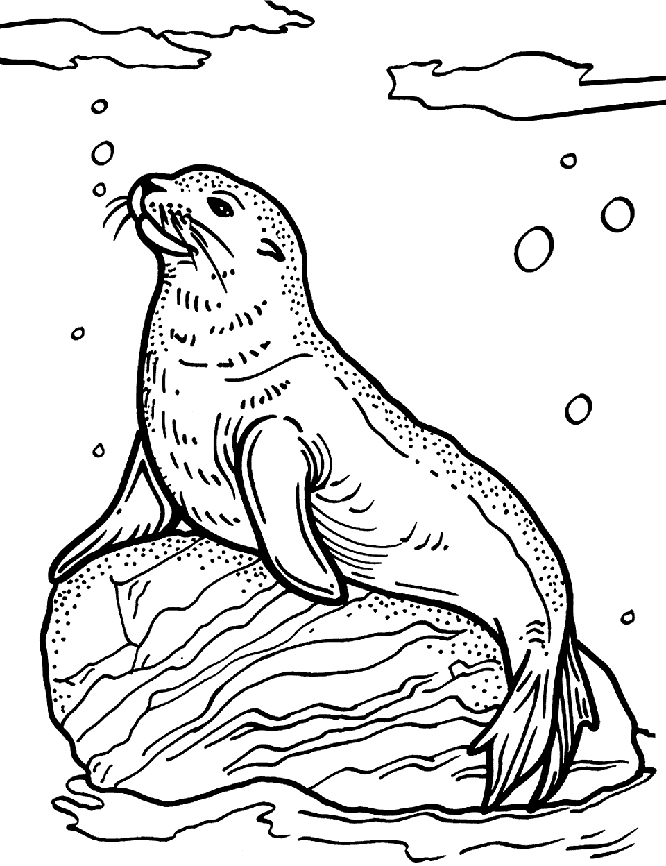 Sea Lion Basking on a Rock Creature Coloring Page - A sea lion lounges comfortably on a large rock, enjoying the sun.