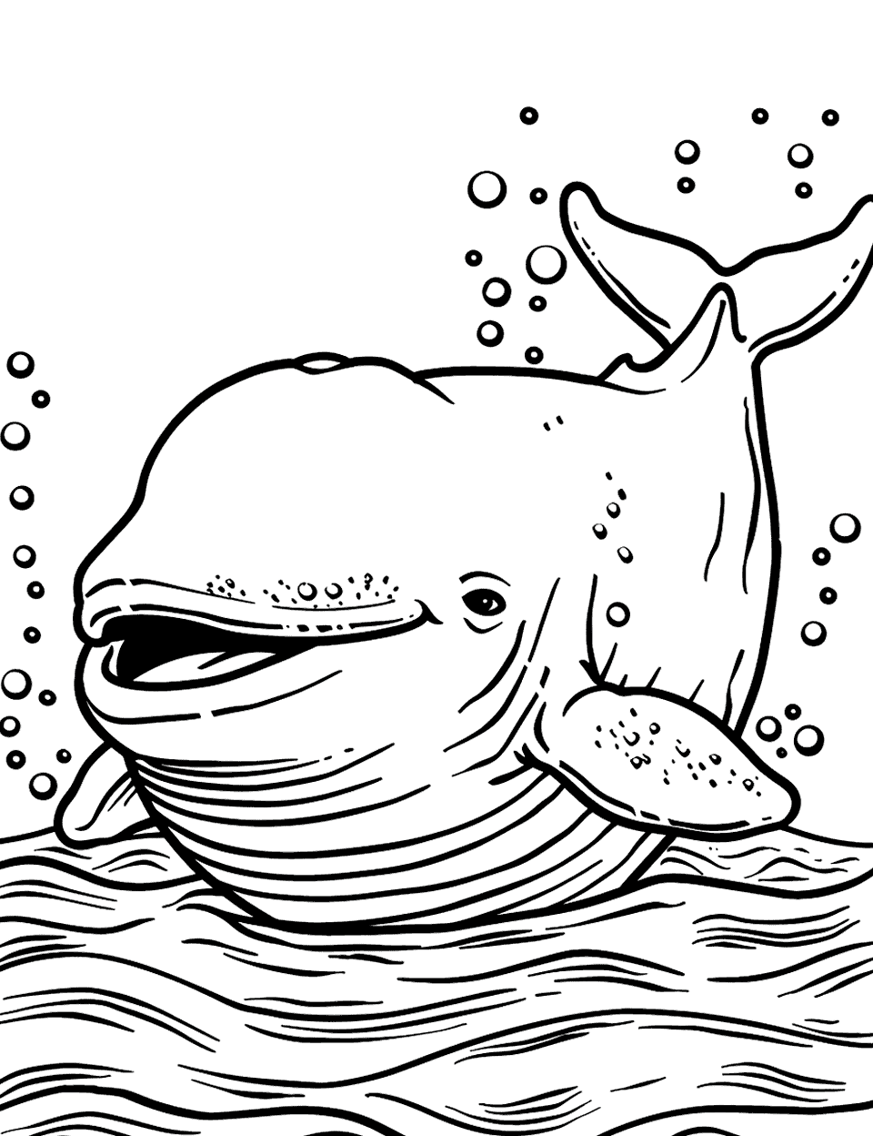 Beluga Whale Smiling in the Arctic Sea Creature Coloring Page - A beluga whale surfaces from the Arctic waters with a characteristic smile.