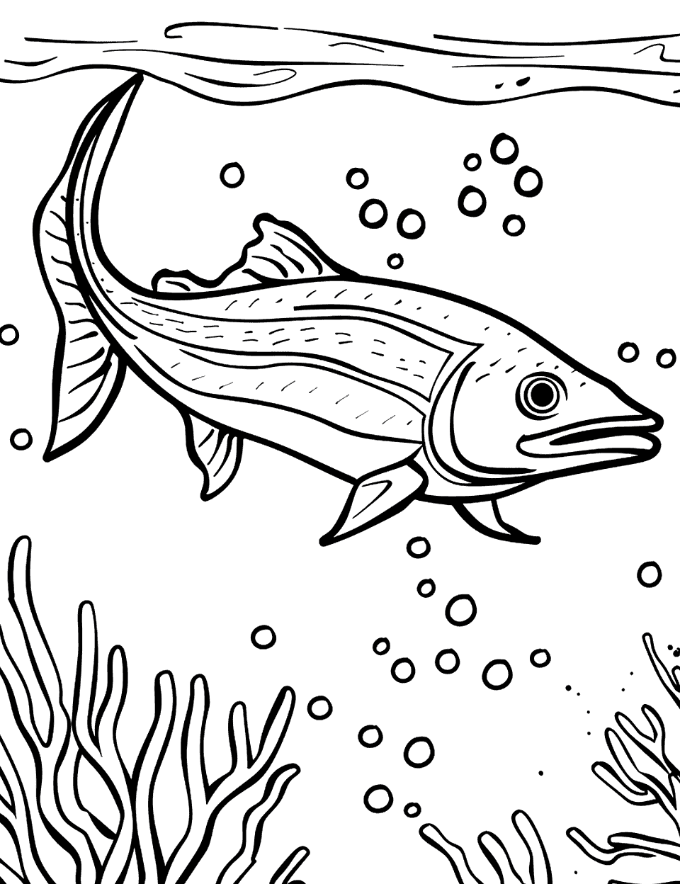 Barracuda Hunting Swiftly Sea Creature Coloring Page - A barracuda speeds through the water in search of prey.