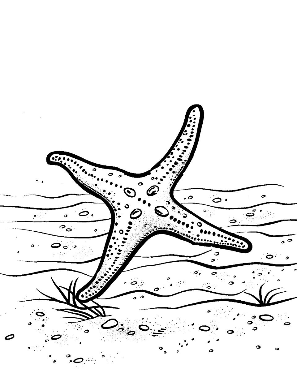 Starfish on a Sandy Ocean Floor Sea Creature Coloring Page - A starfish resting in the middle of the sandy ocean floor.