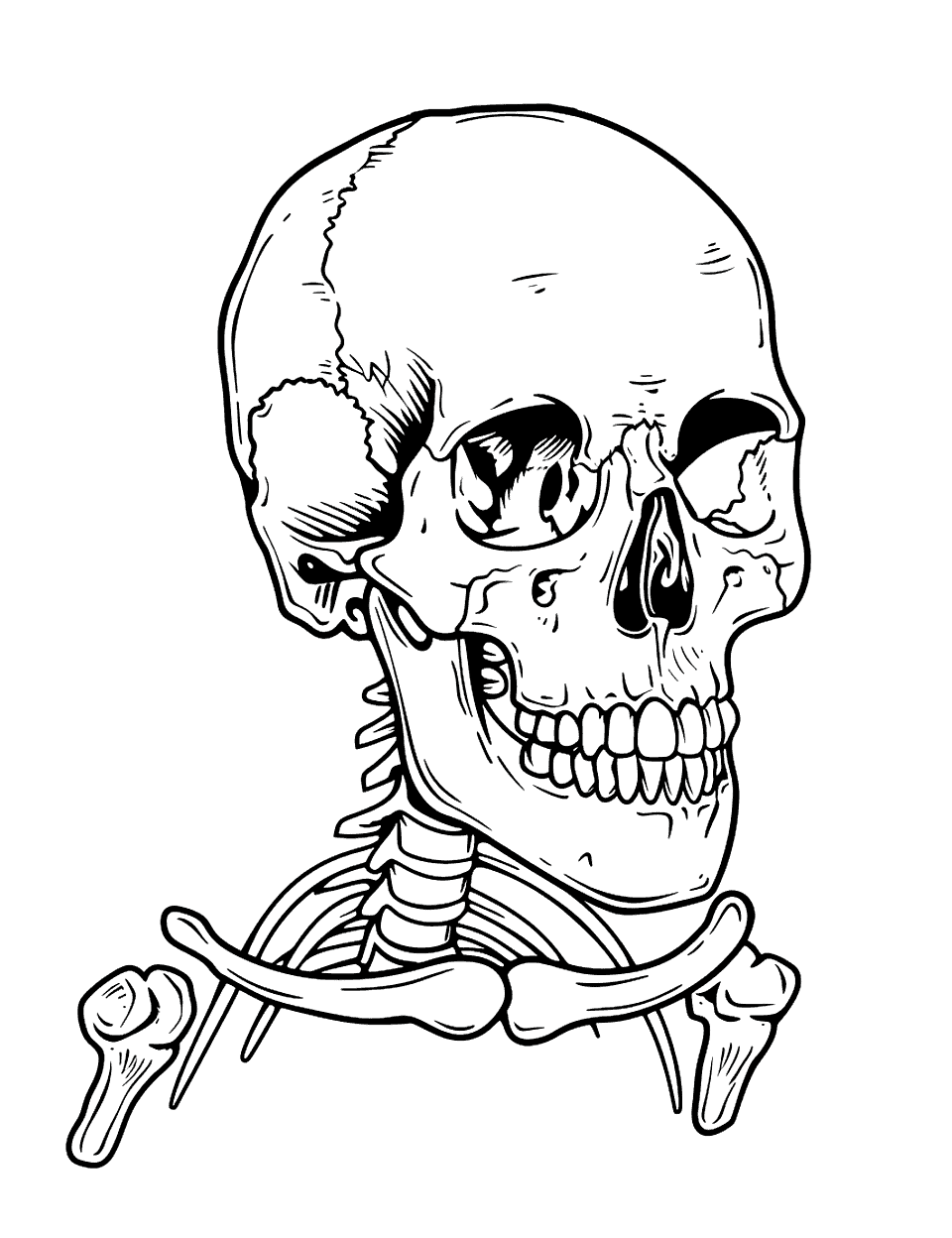Realistic Human Skull Skeleton Coloring Page - A detailed and realistic drawing of a human skull.