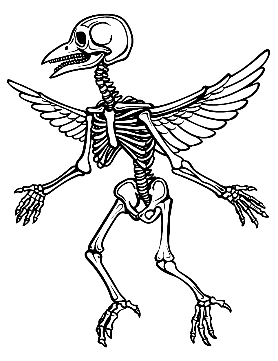 Simple Bird Skeleton Coloring Page - A simple, clean illustration of a bird skeleton in flight.