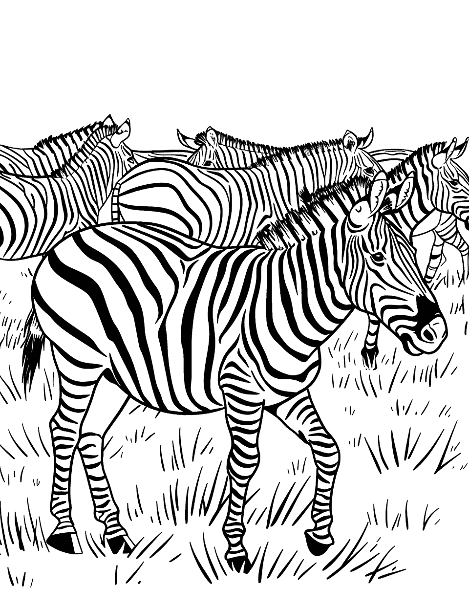 Zebra Herd on the Move Coloring Page - Several zebras moving together across a flat, grassy landscape.
