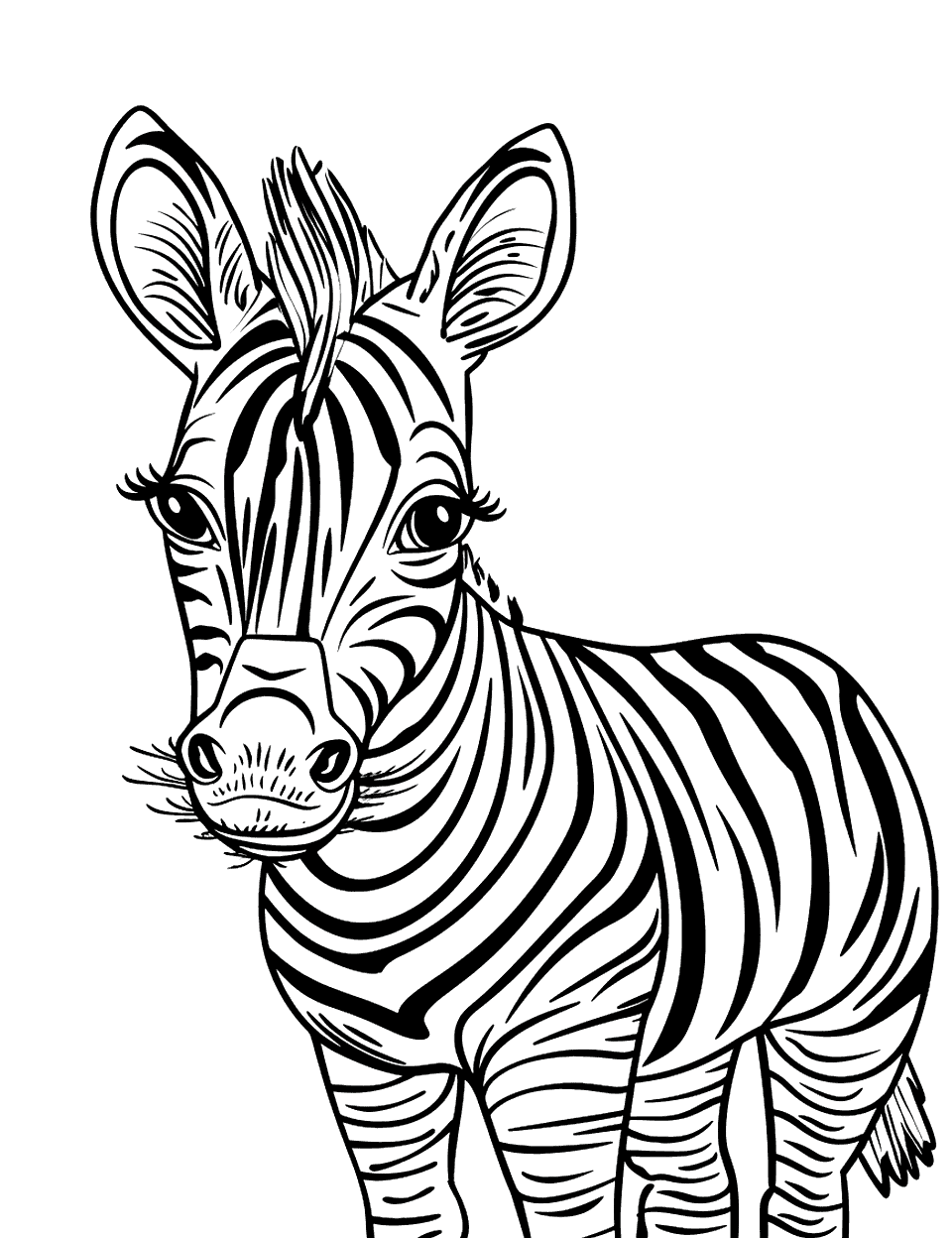Curious Baby Zebra Coloring Page - A baby zebra looking directly at the viewer with a curious expression.