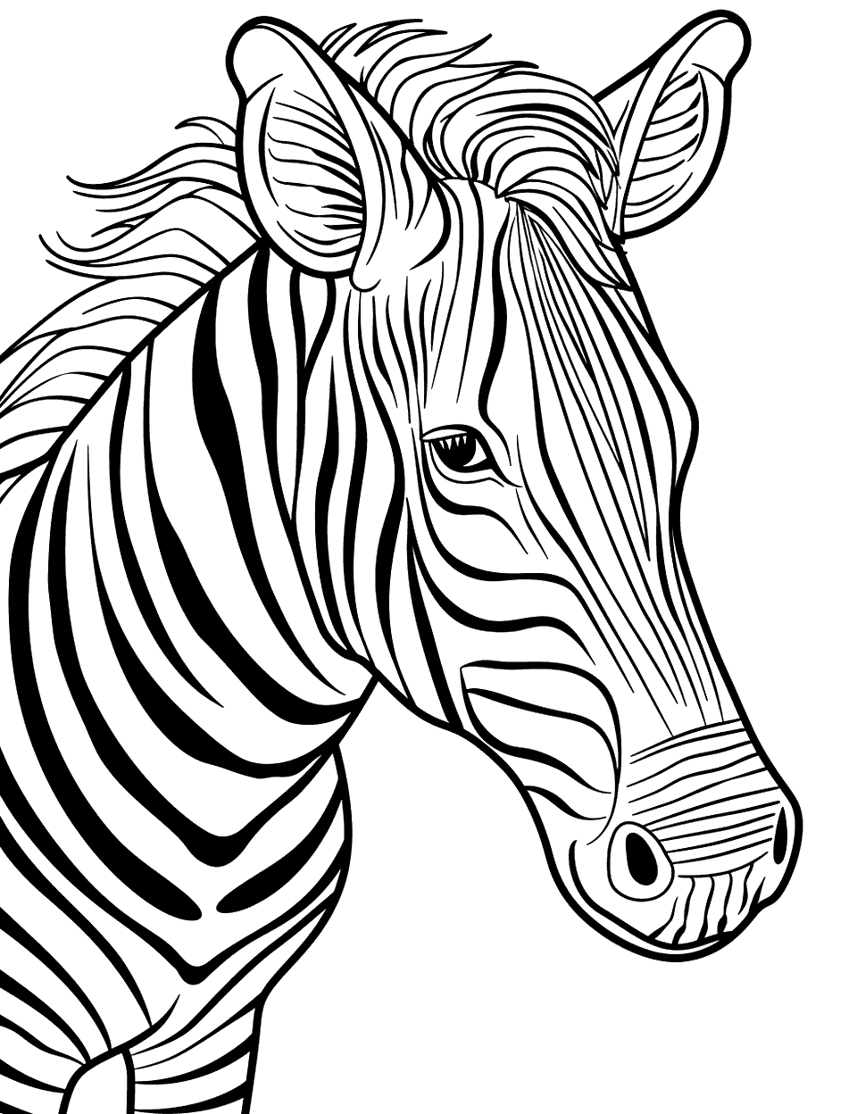Zebra Close-Up Coloring Page - A close view of a zebra’s face, emphasizing its unique stripe pattern.