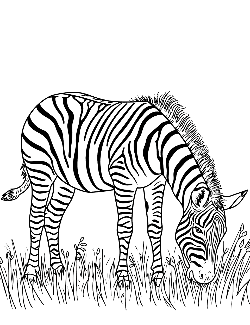 Zebra Grazing in the Meadow Coloring Page - A peaceful zebra eating grass in a lush meadow.