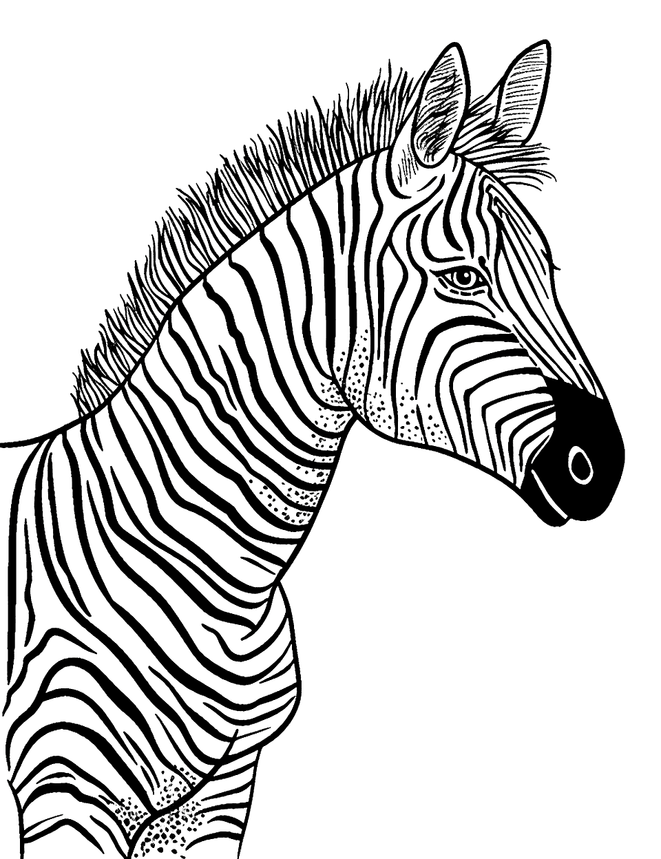 Zebra Profile Portrait Coloring Page - This one is a head and neck study, drawn in profile with the muzzle blocked in solid black. Look for the tiny dots stippled along the lower neck, a texture you can leave white or fill with the lightest gray you own. The mane runs up over the crest as a row of short spikes. With no background at all, it suits a child who wants to focus on one thing and actually finish it.