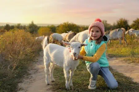 Cute little girl wearing beanie petting goatling on pasture
