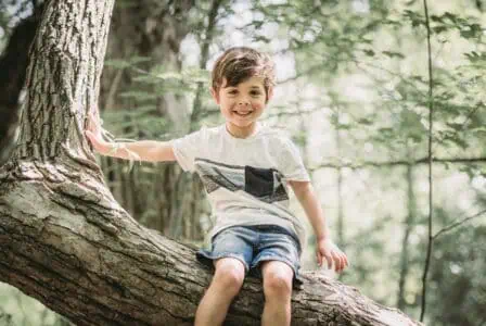 Happy little boy sitting on tree trunk in green sunny garden