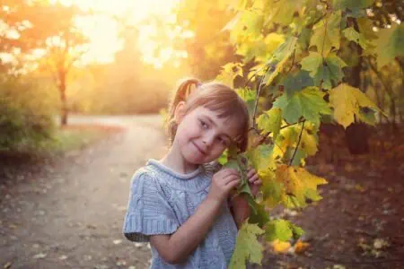 Cheerful little girl holding the hanging leaves from a tree at the forest during sunset