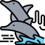 What is a group of dolphins called? Icon