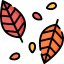 Leaves turn purple and red because what is trapped inside of the leaves? Icon