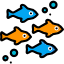 How many species of fish are there? Icon