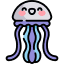 What species of jellyfish is considered immortal since it can revert its cells back to the earliest form? Icon