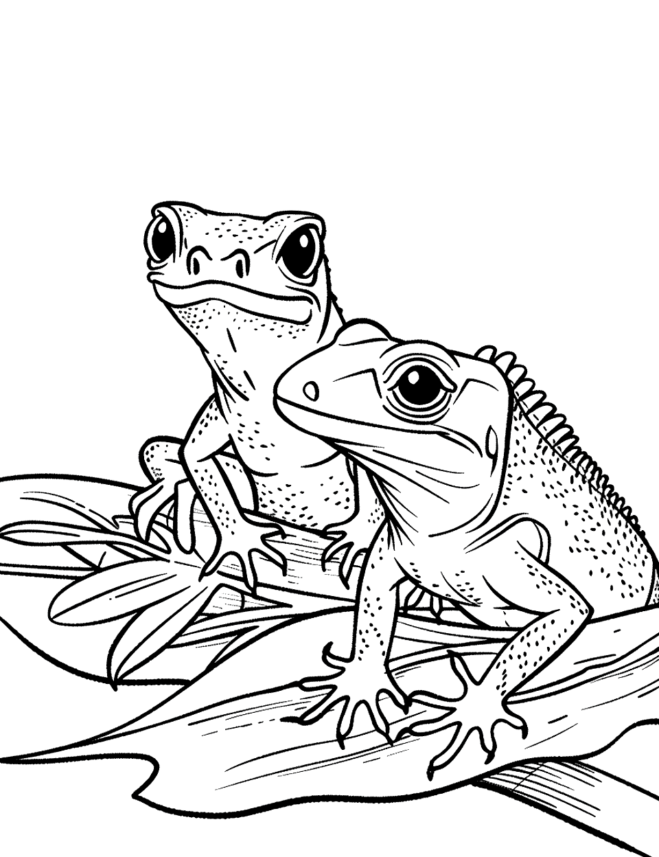 Gecko and Iguana Friends Lizard Coloring Page - A gecko and an iguana sitting together, sharing a large leaf for shade.