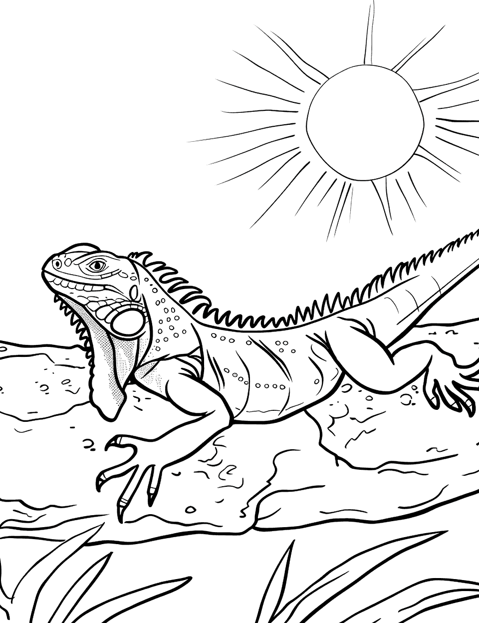 Iguana Sunbathing Lizard Coloring Page - An iguana lying lazily on a rock under the bright sun.