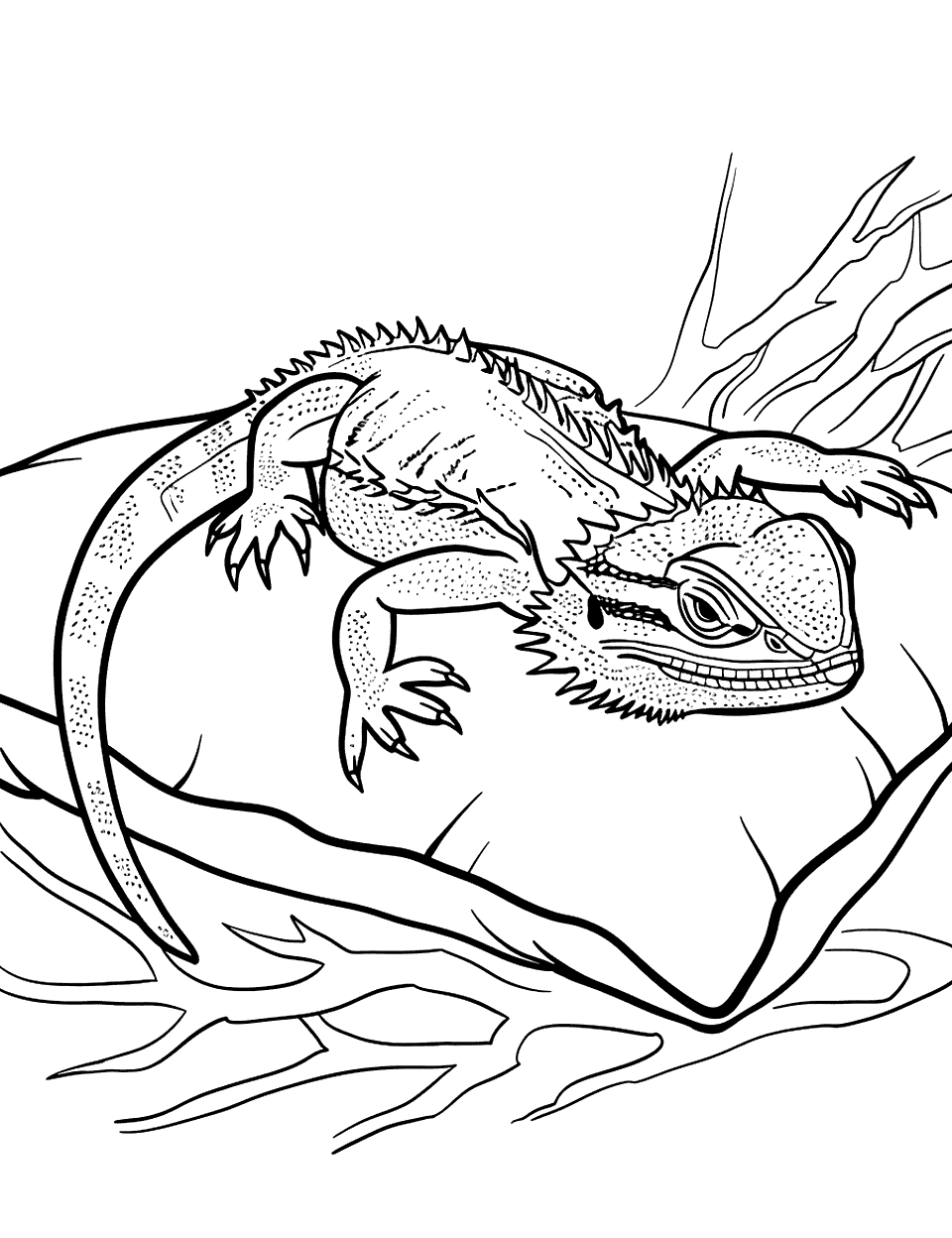 Sleepy Bearded Dragon on a Pillow Lizard Coloring Page - A bearded dragon resting peacefully on a fluffy pillow.