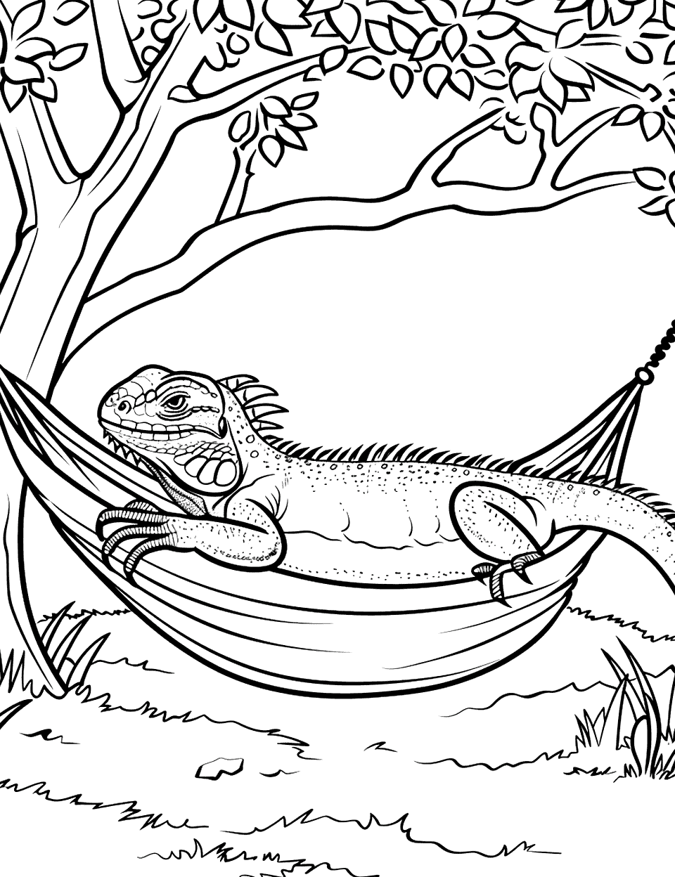 Iguana in a Hammock Lizard Coloring Page - An iguana lying comfortably in a hammock strung between two trees.