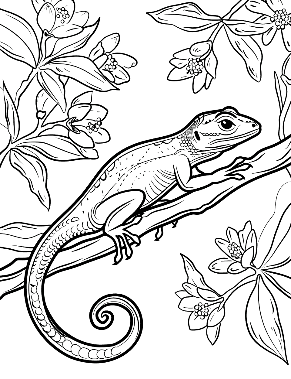 Anole on a Flowering Branch Lizard Coloring Page - An anole perched on a flowering branch, with a few blooming flowers around it.