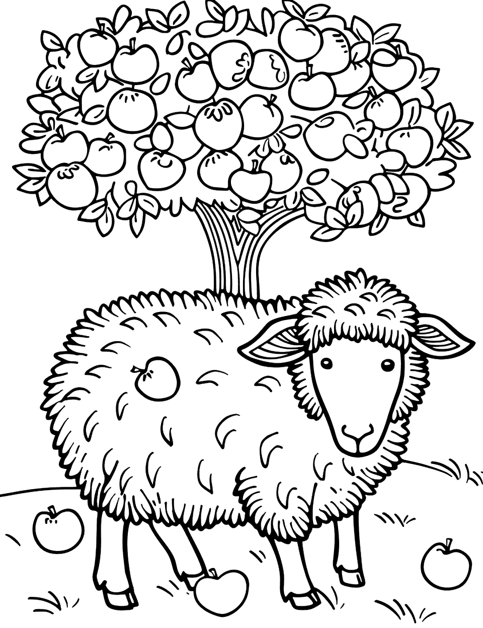 Sheep with Apples Coloring Page - A sheep ready to munch on apples fallen under an apple tree.