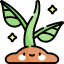What is a young plant that grows from a seed called? Icon