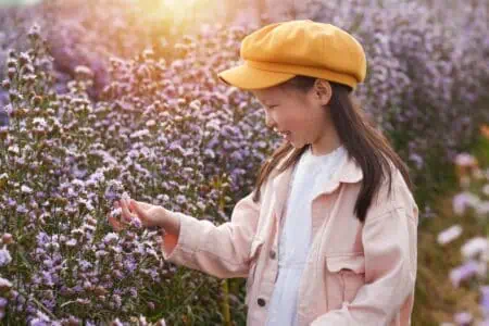 Young beautiful asian girl child touching the flowers in a lavender field